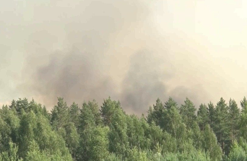 Дачи и поселки оказались в зоне риска: в Ярославской области сохраняется высокая пожароопасность