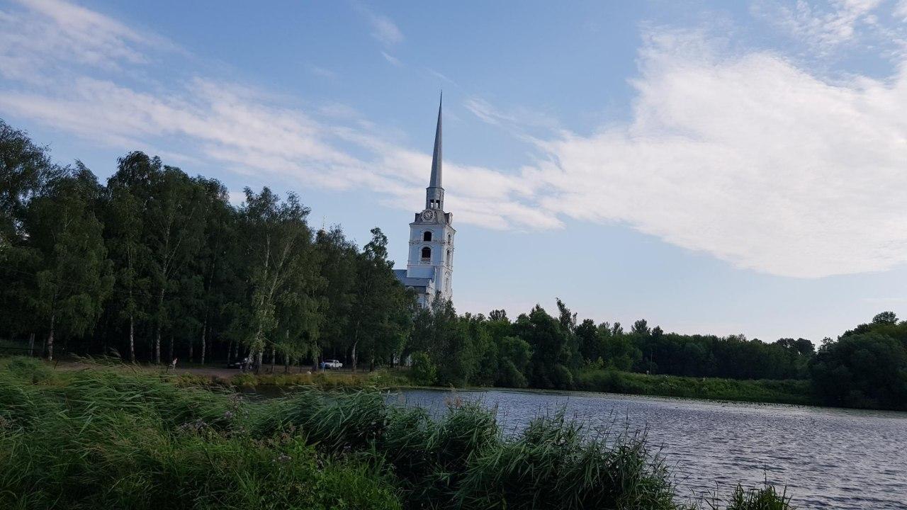 В Петропавловских прудах в Ярославле обнаружили свежее фекальное загрязнение
